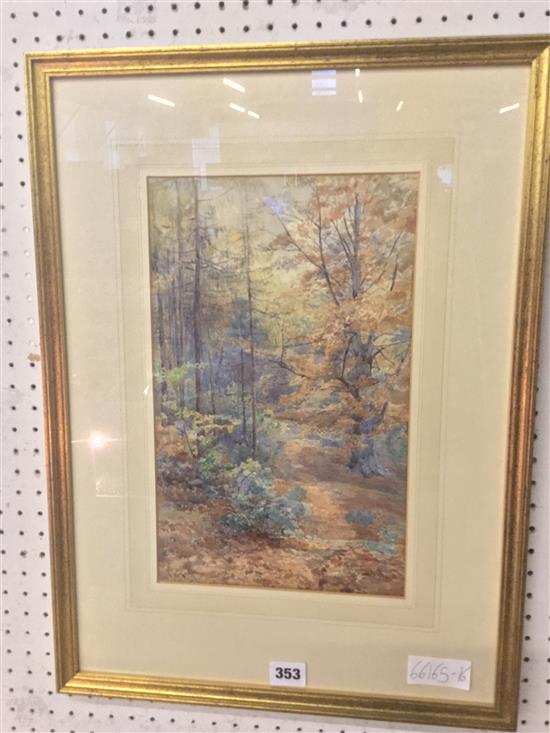 Agnes Turner (1884-1919), watercolour, woodland scene